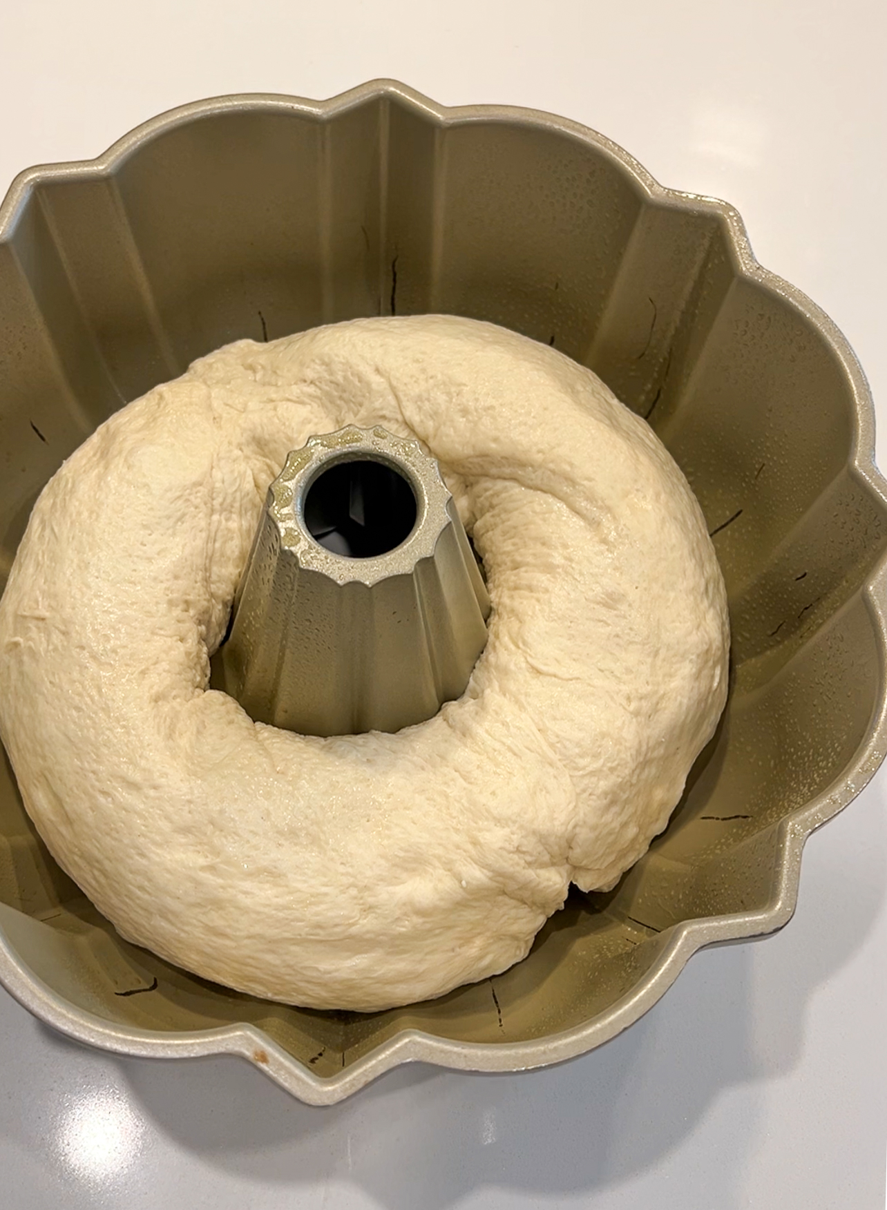 A bundt pan filled with proofed bread dough, shaped into a ring with a hole in the middle, ready for baking. The dough has a smooth, slightly risen surface.