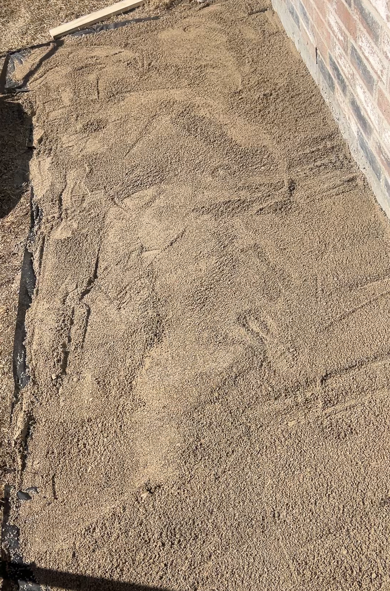 A close-up of a freshly spread layer of sand beside a brick wall, likely prepared for paving or another construction activity. The sand is evenly distributed with visible texture from smoothing tools.