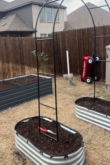 A backyard features two raised metal garden beds topped with trellises and filled with soil, ready for planting. A red toy wagon is propped vertically against a fence. A wooden fence and storage shed are visible in the background.