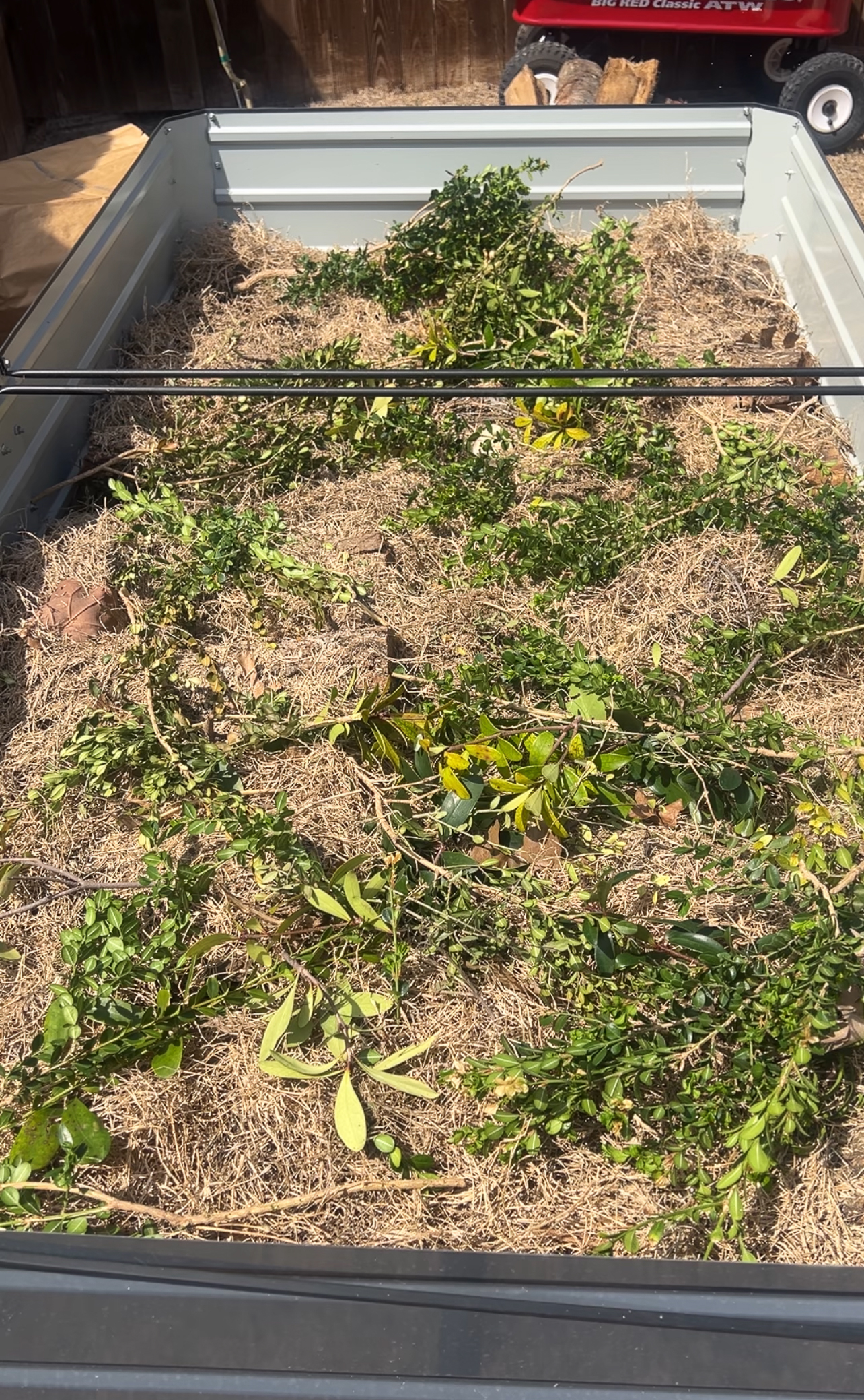 A metal trailer bed filled with dry straw and green plant clippings. In the background, a red wagon and a wooden fence are partially visible. The clippings are scattered across the straw, indicating recent yard work.