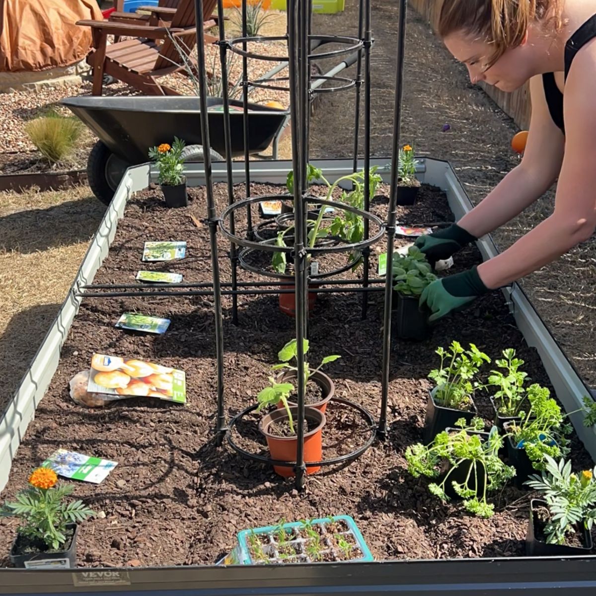 A person tends to a raised garden bed, planting various seedlings and small plants. The bed has a metal frame for support, and seed packets are scattered around. The scene is outdoors with sunlight illuminating the area.